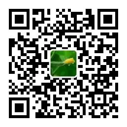制定篮球交流计划以促进个人技能发展的方法_0